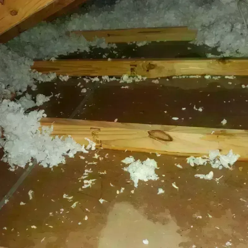 Attic Water Damage in Central City, IA