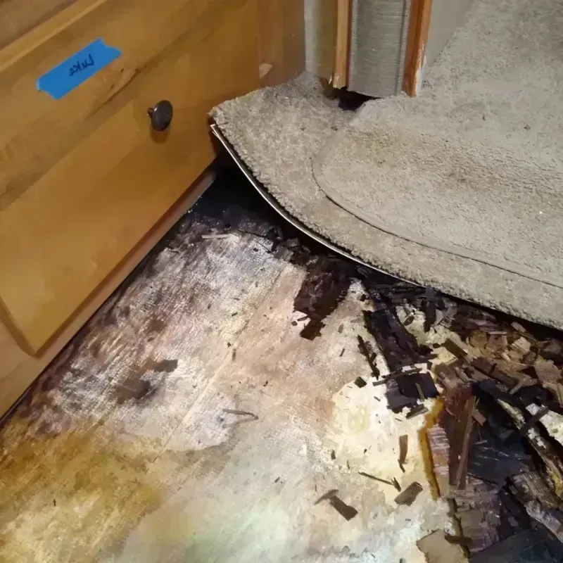 Best Wood Floor Water Damage Service in Central City, IA